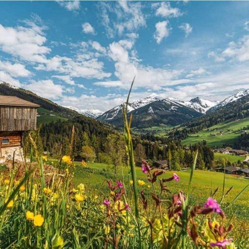 listing-details-carousel